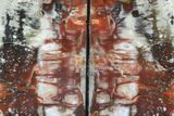 Tall, Arizona Petrified Wood Bookends - Red & Black #99323-2